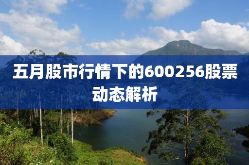 五月股市行情下的600256股票动态解析
