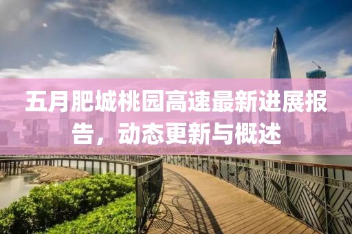 五月肥城桃园高速最新进展报告，动态更新与概述