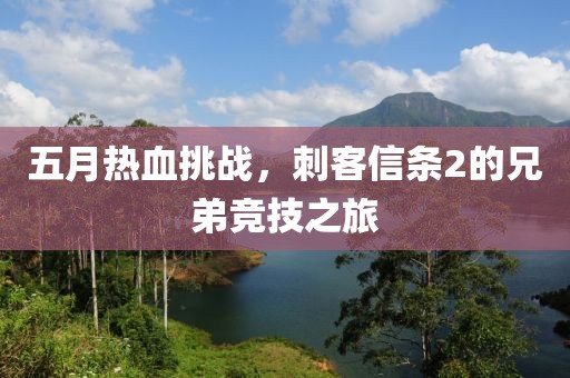 五月热血挑战，刺客信条2的兄弟竞技之旅