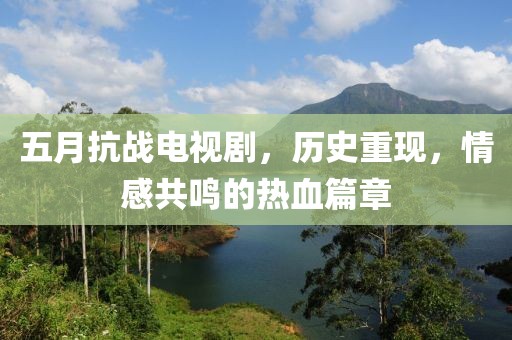 五月抗战电视剧，历史重现，情感共鸣的热血篇章