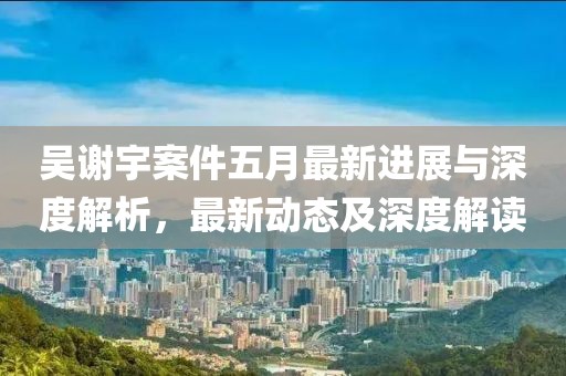 吴谢宇案件五月最新进展与深度解析，最新动态及深度解读