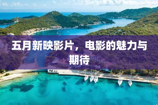 五月新映影片，电影的魅力与期待