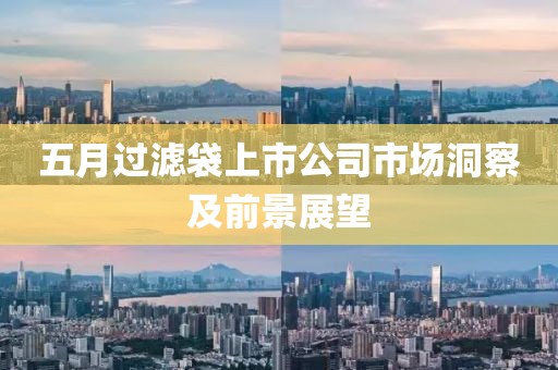 五月过滤袋上市公司市场洞察及前景展望
