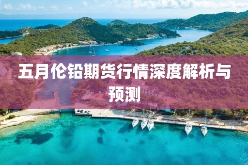 五月伦铅期货行情深度解析与预测