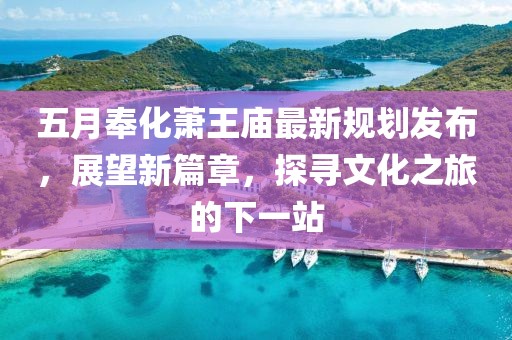 五月奉化萧王庙最新规划发布，展望新篇章，探寻文化之旅的下一站