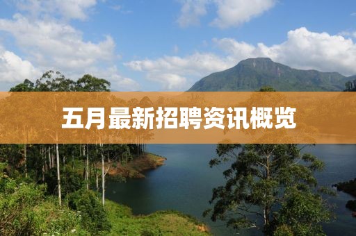 五月最新招聘资讯概览