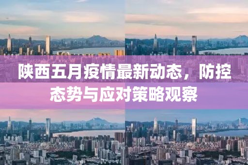 陕西五月疫情最新动态，防控态势与应对策略观察