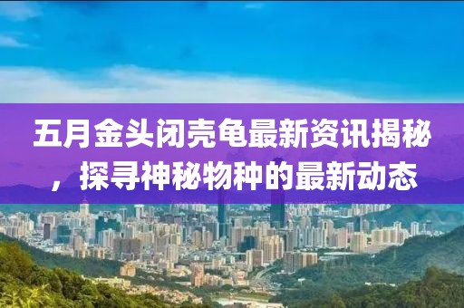 五月金头闭壳龟最新资讯揭秘，探寻神秘物种的最新动态