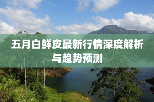 五月白鲜皮最新行情深度解析与趋势预测