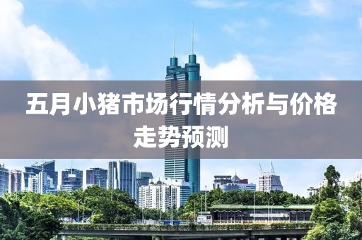 五月小猪市场行情分析与价格走势预测