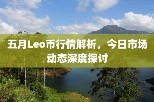 五月Leo币行情解析，今日市场动态深度探讨