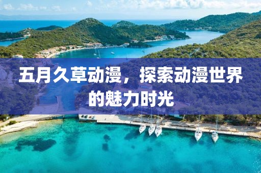 五月久草动漫，探索动漫世界的魅力时光