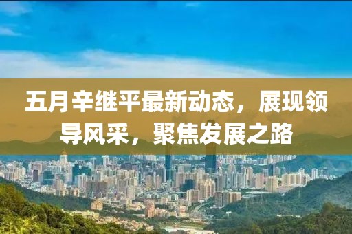 五月辛继平最新动态，展现领导风采，聚焦发展之路