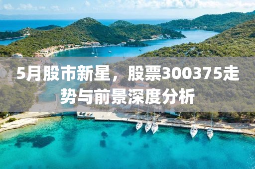 5月股市新星，股票300375走势与前景深度分析