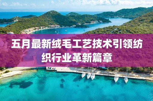 五月最新绒毛工艺技术引领纺织行业革新篇章