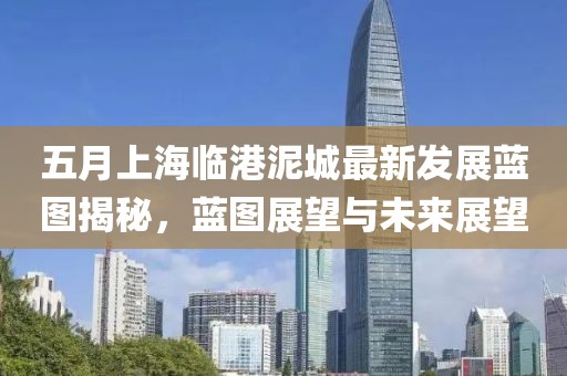 五月上海临港泥城最新发展蓝图揭秘，蓝图展望与未来展望
