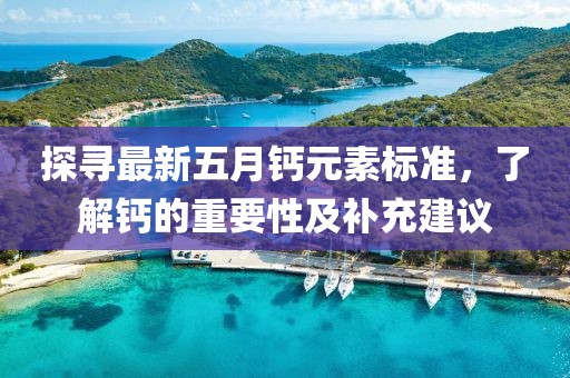 探寻最新五月钙元素标准，了解钙的重要性及补充建议