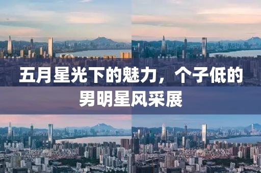 五月星光下的魅力，个子低的男明星风采展