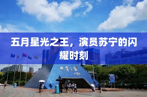 五月星光之王，演员苏宁的闪耀时刻