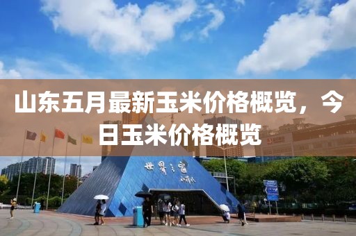 山东五月最新玉米价格概览，今日玉米价格概览