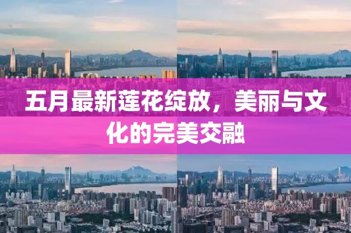 五月最新莲花绽放，美丽与文化的完美交融