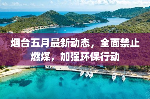 烟台五月最新动态，全面禁止燃煤，加强环保行动