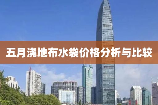 五月浇地布水袋价格分析与比较