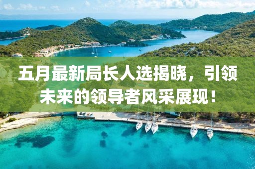五月最新局长人选揭晓，引领未来的领导者风采展现！