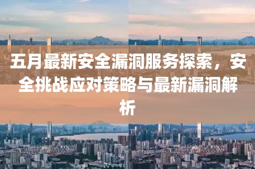 五月最新安全漏洞服务探索，安全挑战应对策略与最新漏洞解析
