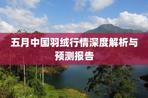 五月中国羽绒行情深度解析与预测报告