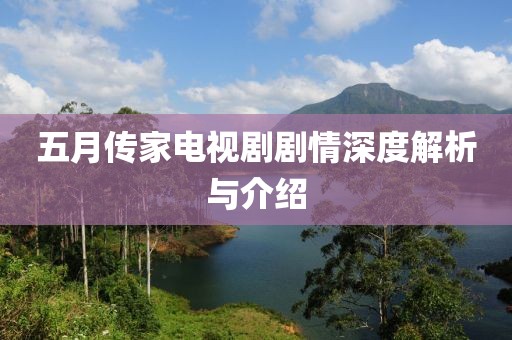 五月传家电视剧剧情深度解析与介绍