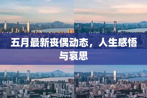 五月最新丧偶动态，人生感悟与哀思