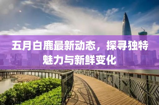 五月白鹿最新动态，探寻独特魅力与新鲜变化