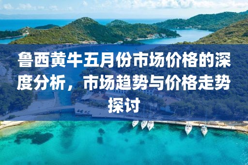 鲁西黄牛五月份市场价格的深度分析，市场趋势与价格走势探讨
