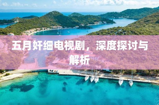五月奸细电视剧，深度探讨与解析
