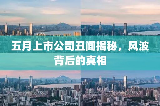 五月上市公司丑闻揭秘，风波背后的真相