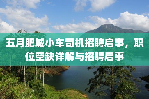 五月肥城小车司机招聘启事，职位空缺详解与招聘启事