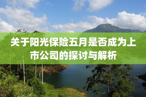 关于阳光保险五月是否成为上市公司的探讨与解析