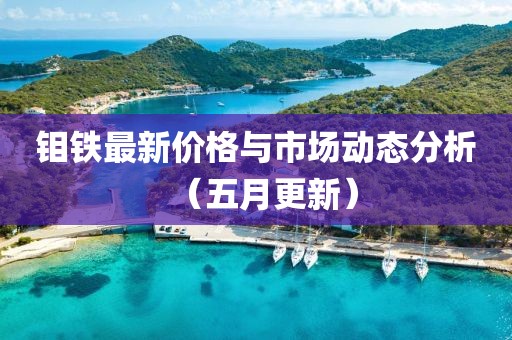 钼铁最新价格与市场动态分析（五月更新）