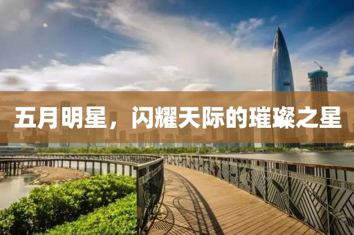 五月明星，闪耀天际的璀璨之星