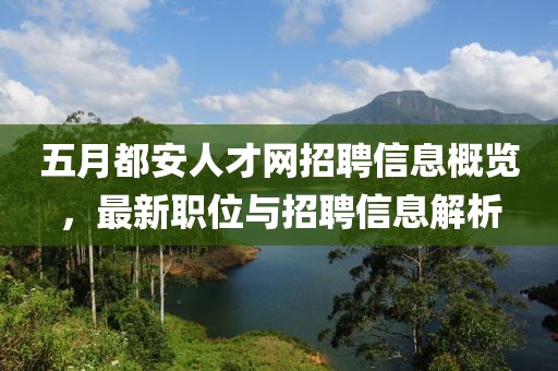 五月都安人才网招聘信息概览，最新职位与招聘信息解析