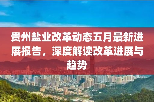 贵州盐业改革动态五月最新进展报告，深度解读改革进展与趋势