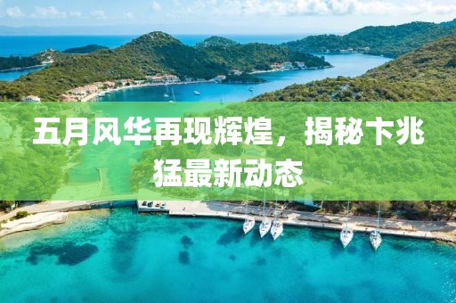 五月风华再现辉煌，揭秘卞兆猛最新动态