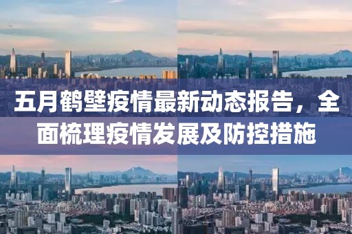 五月鹤壁疫情最新动态报告，全面梳理疫情发展及防控措施
