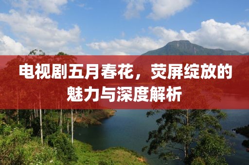 电视剧五月春花，荧屏绽放的魅力与深度解析
