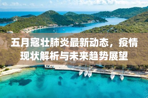 五月寇壮肺炎最新动态，疫情现状解析与未来趋势展望