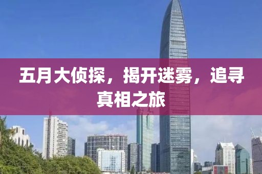 五月大侦探，揭开迷雾，追寻真相之旅