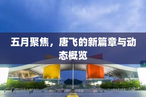 五月聚焦，唐飞的新篇章与动态概览