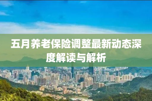 五月养老保险调整最新动态深度解读与解析