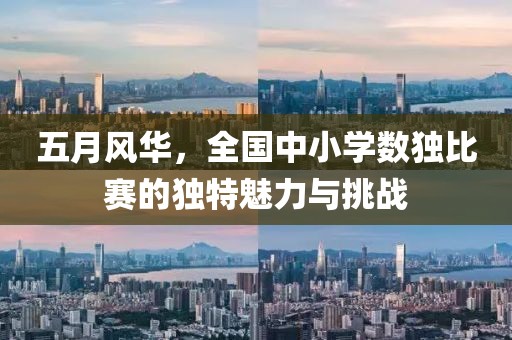 五月风华，全国中小学数独比赛的独特魅力与挑战